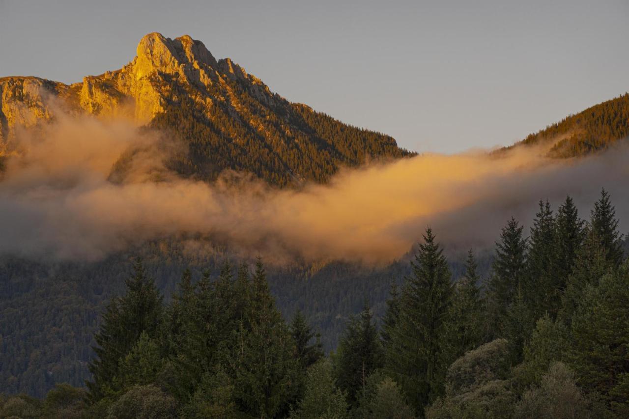 Gori Boutique Apartments - Tirol Reutte Dış mekan fotoğraf
